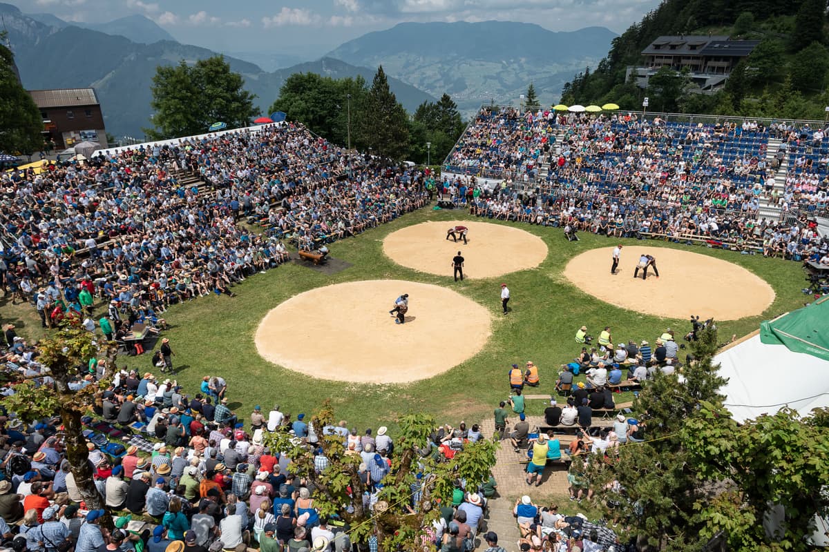 Umfrage Stoos-Schwinget 2024