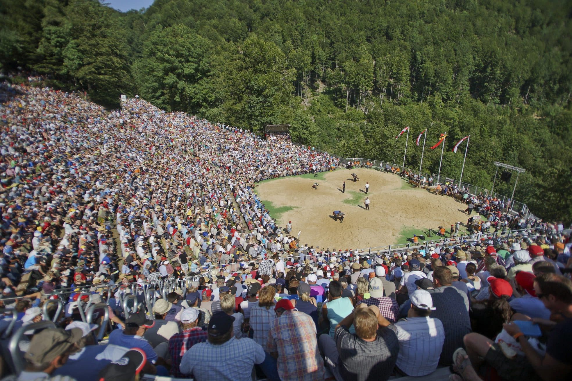 Brünig-Schwinget 2024